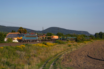 H | 630 009 MAV - Vértesszőlős