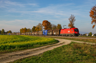 A | 1116 106 ÖBB - Langenisarhofen