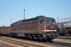 DR 132 590-1 - Bf Göschwitz