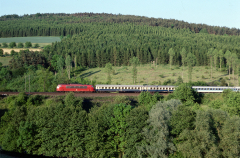 103 xxx - Neuseesen