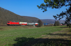 185 299-5 - Wernfeld (Main)