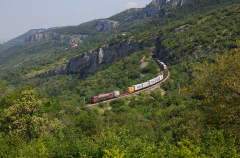 SLO | SŽ 363 xxx - Zanigrad (SLO)