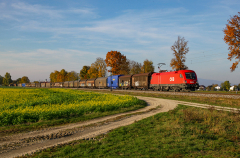 A | 1116 106 ÖBB - Langenisarhofen