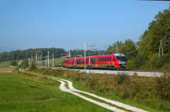 SLO | 312 102 SŽ - Križni Vrh (SLO)